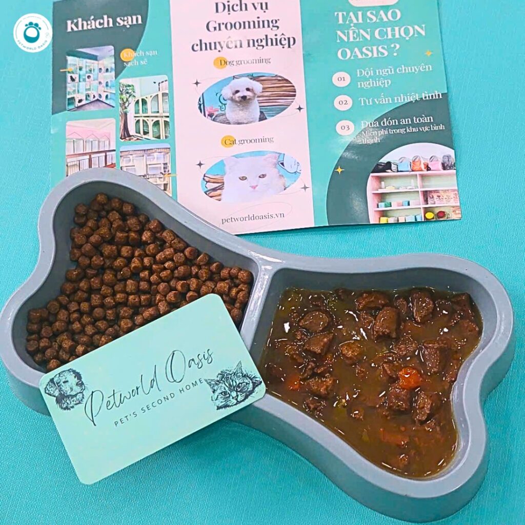 Chăm sóc thú cưng bị dị ứng