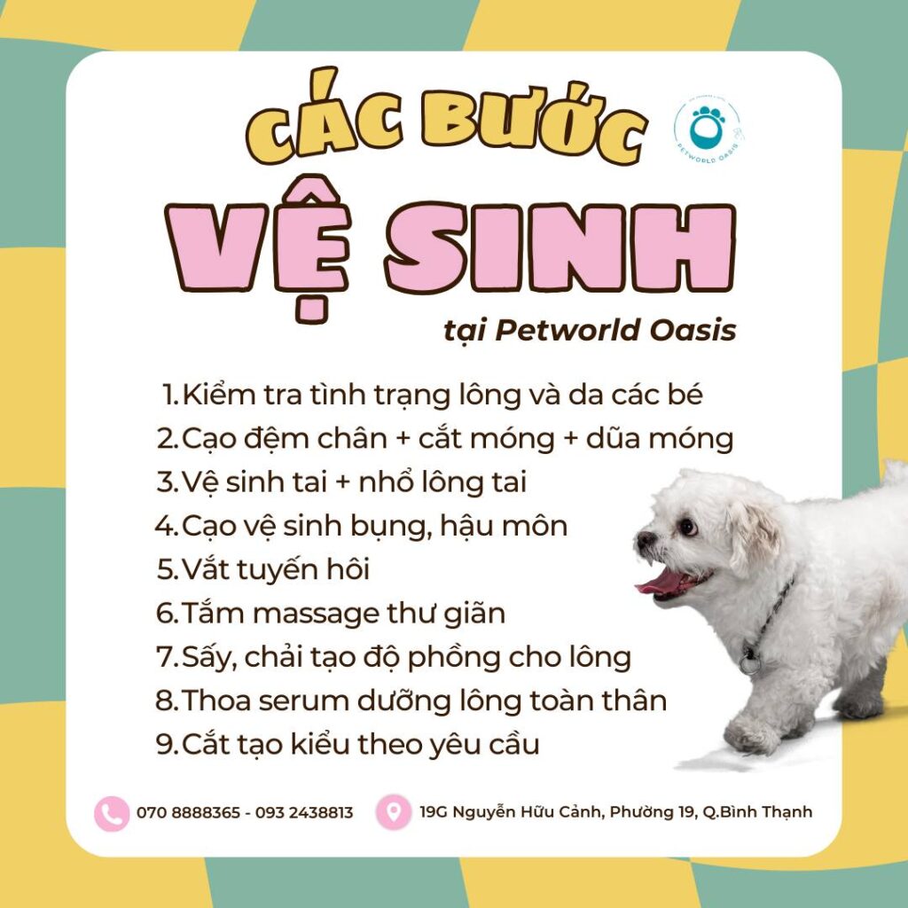 Tắm grooming cho thú cưng