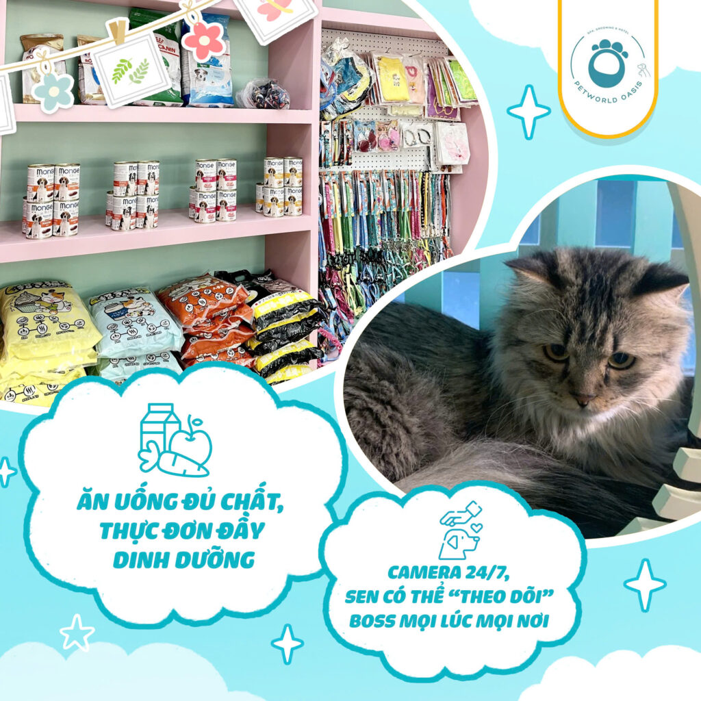 Chăm sóc thú cưng tại PETWORLD OASIS