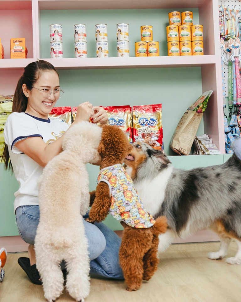 Chăm sóc thú cưng tại PETWORLD OASIS