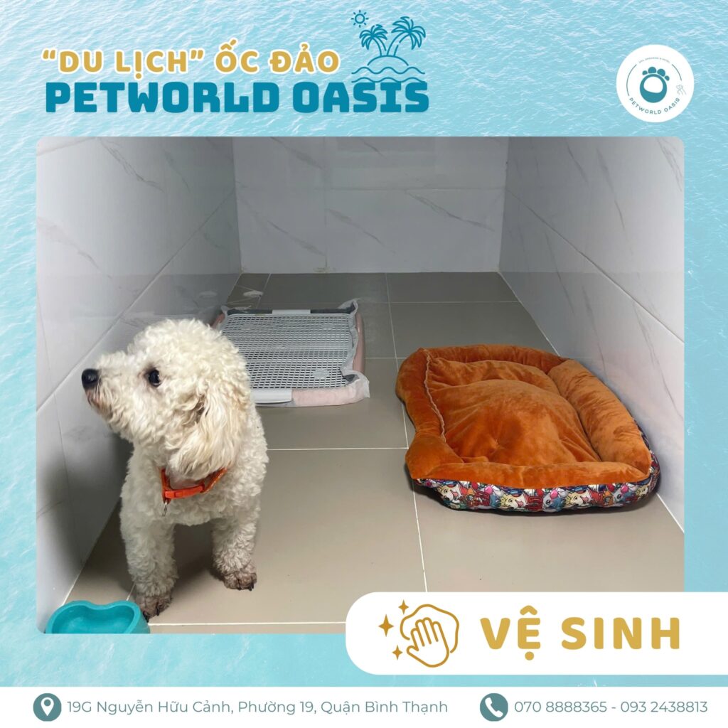 Chăm sóc thú cưng tại PETWORLD OASIS