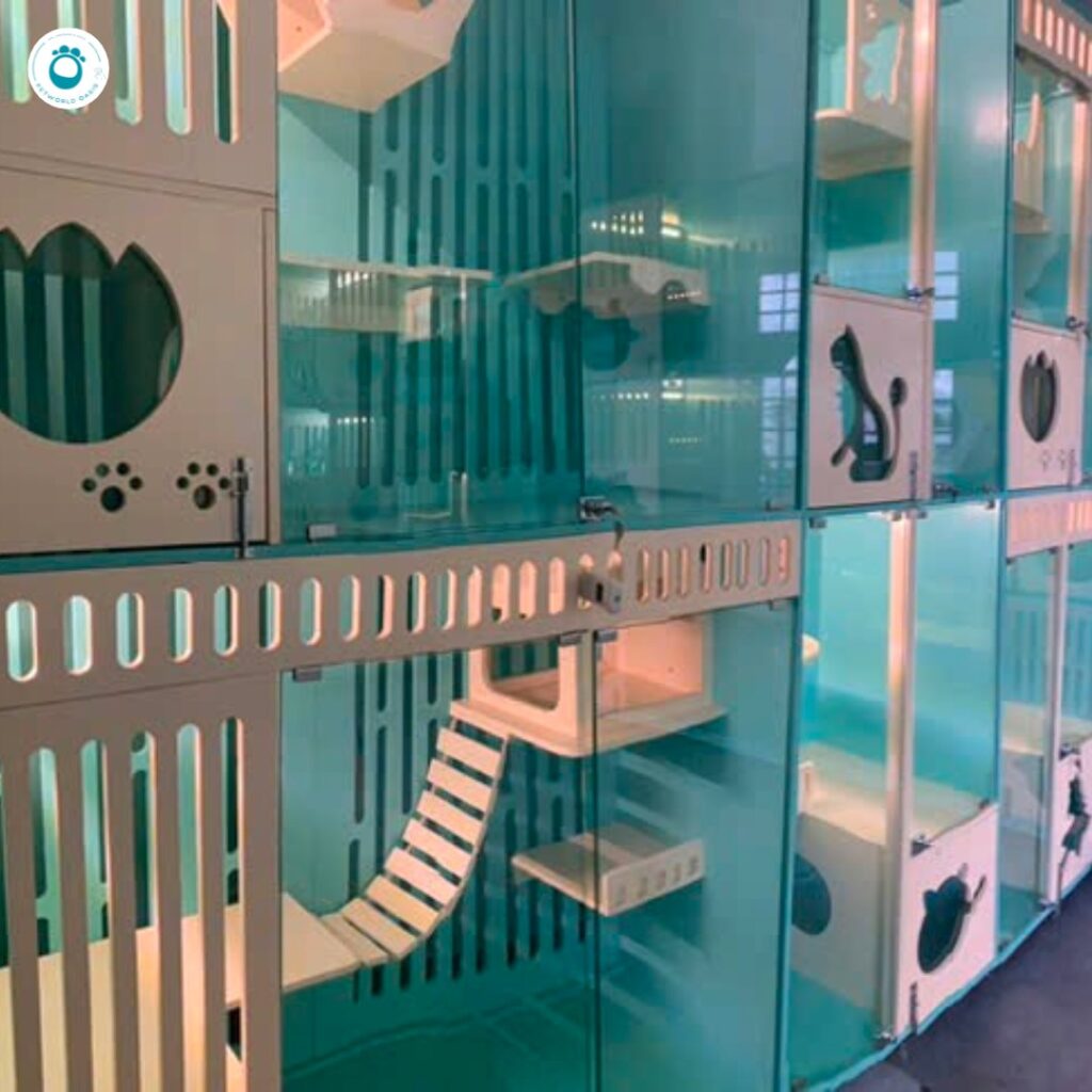 Chăm sóc thú cưng tại PETWORLD OASIS