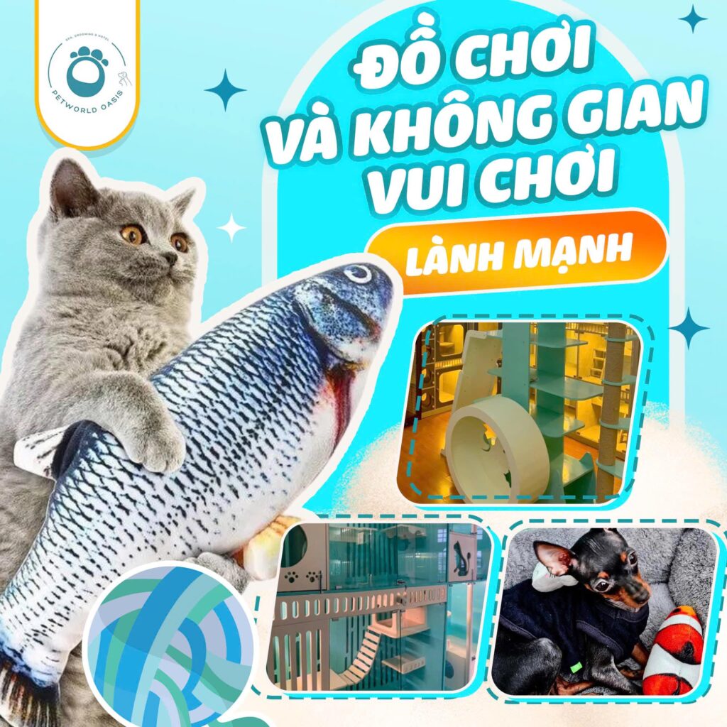 Khách sạn chó mèo