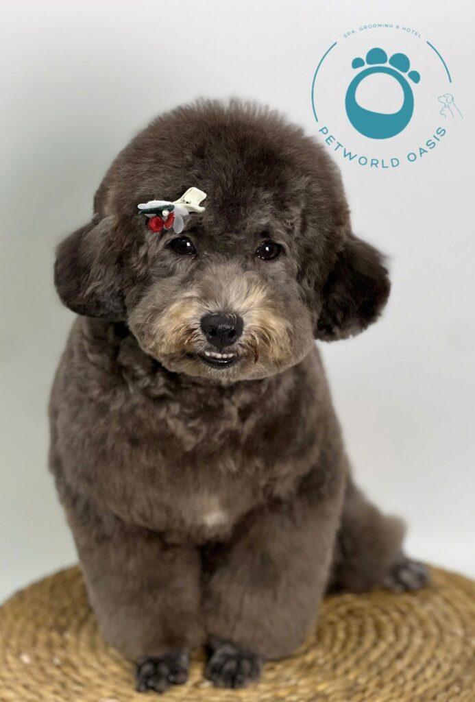 Dinh dưỡng cho thú cưng