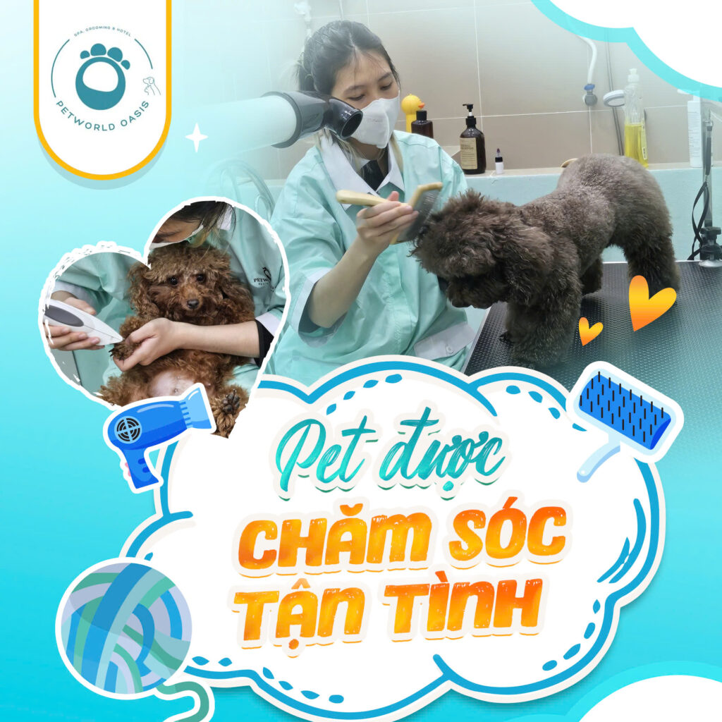 Grooming thú cưng tại PETWORLD OASIS
