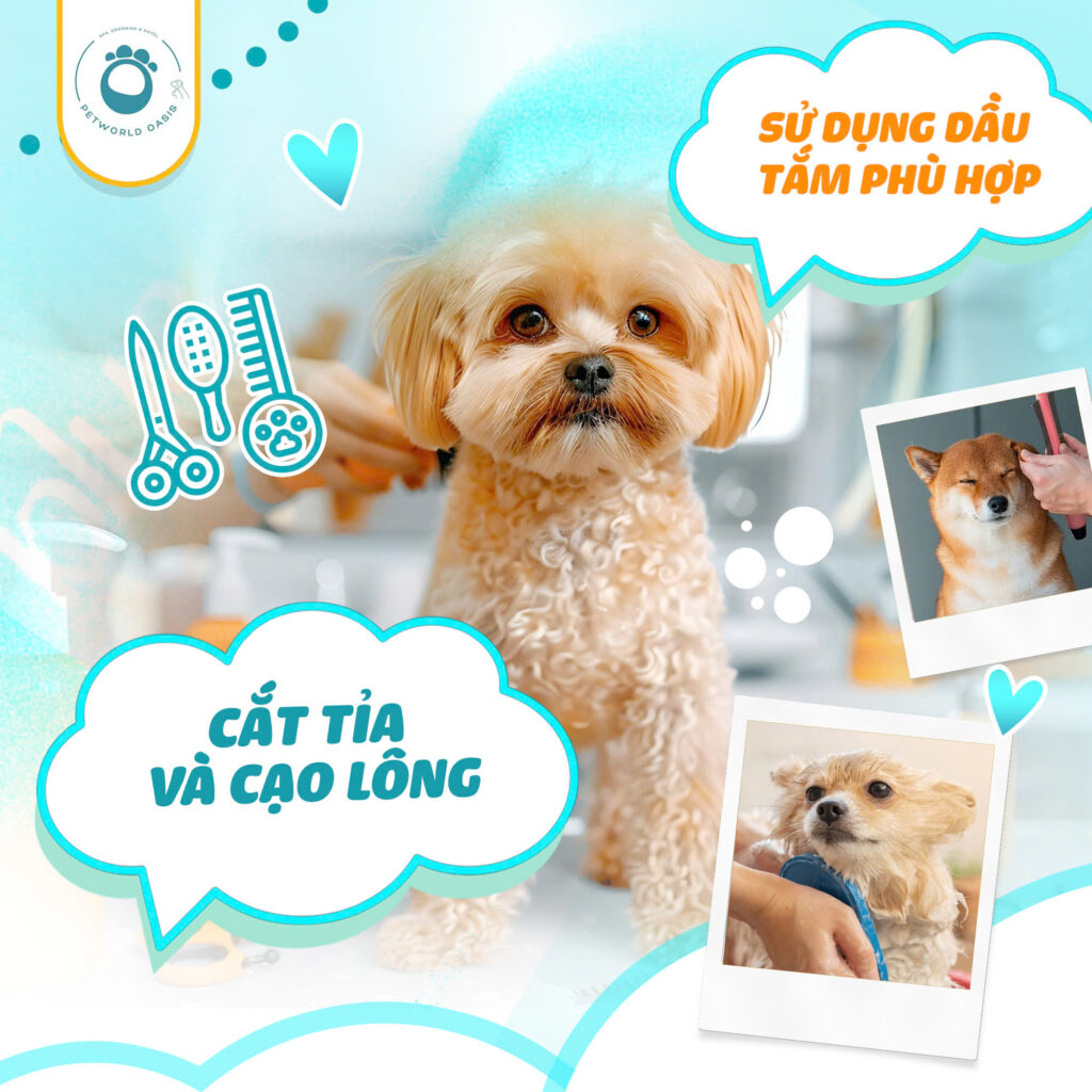 Chăm sóc thú cưng PETWORLD OASIS