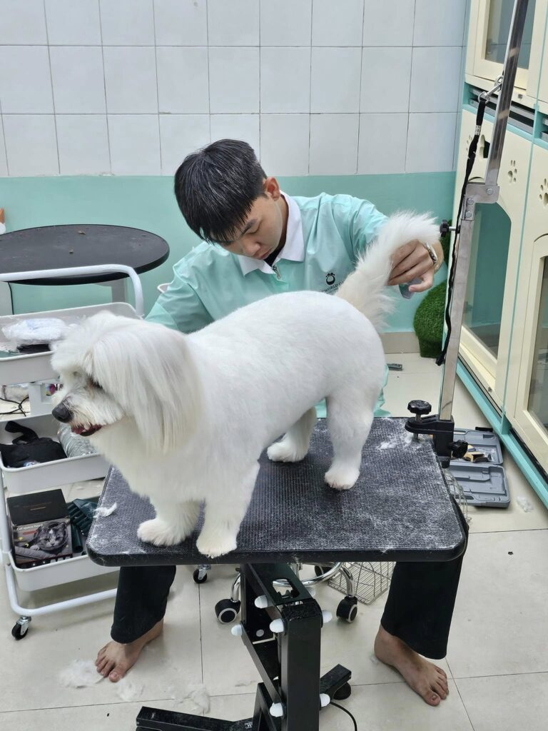 Phòng ngừa bệnh da liễu