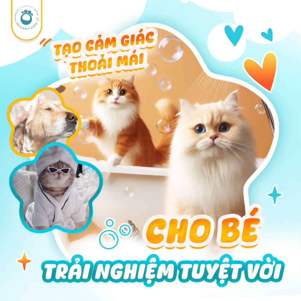 Spa và grooming cho thú cưng