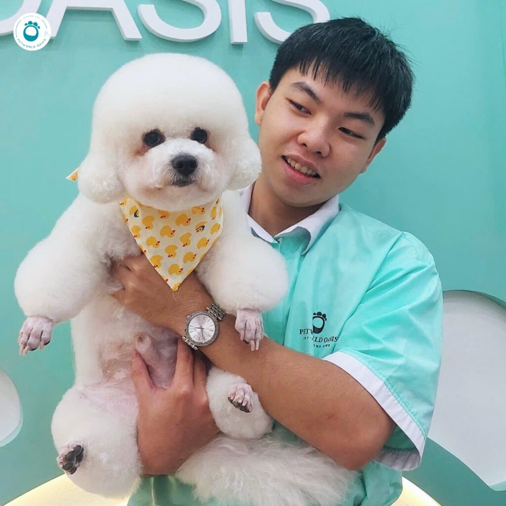 Dịch vụ chăm sóc thú cưng TPHCM