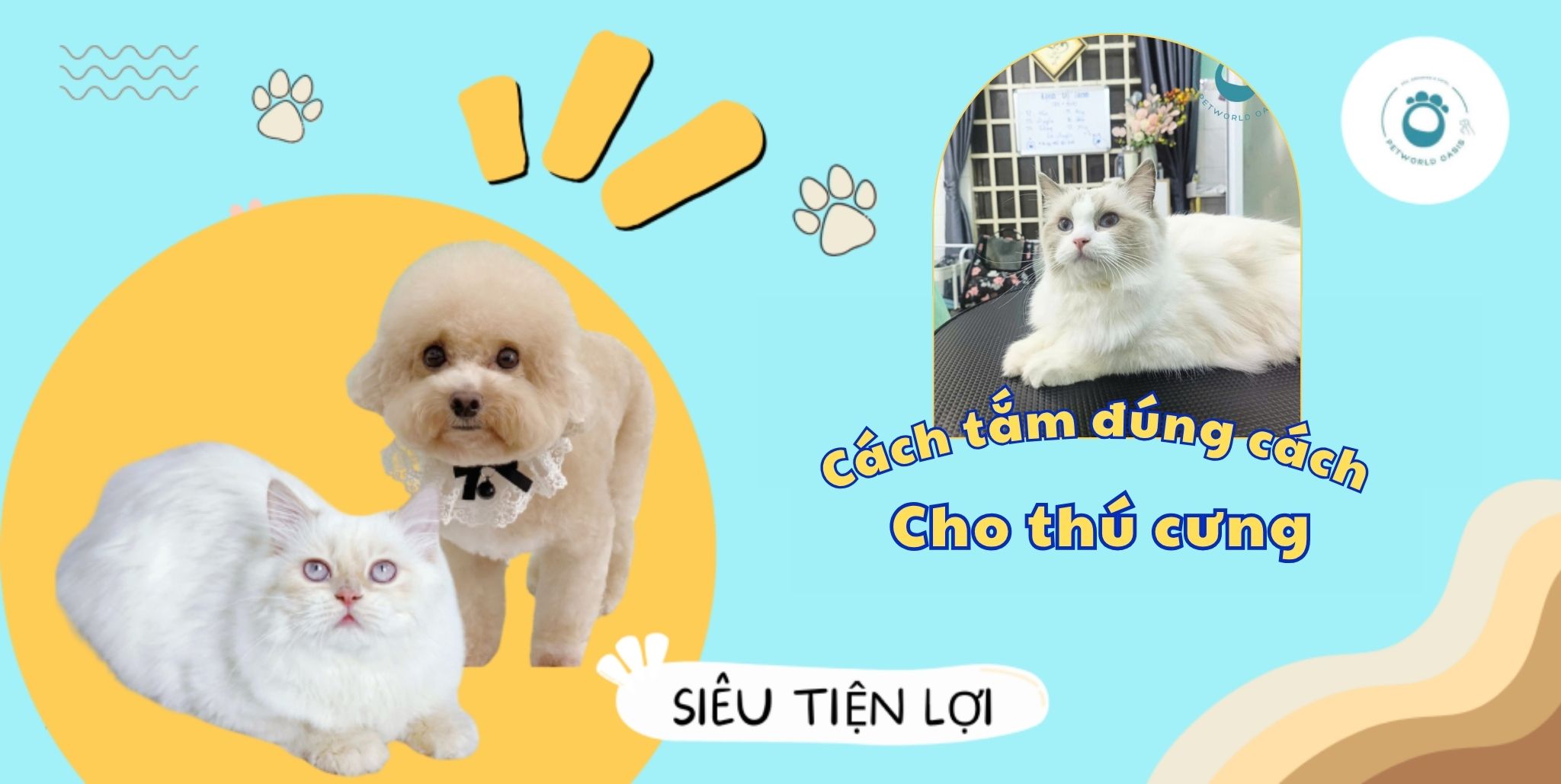 Cách tắm đúng cách cho thú cưng