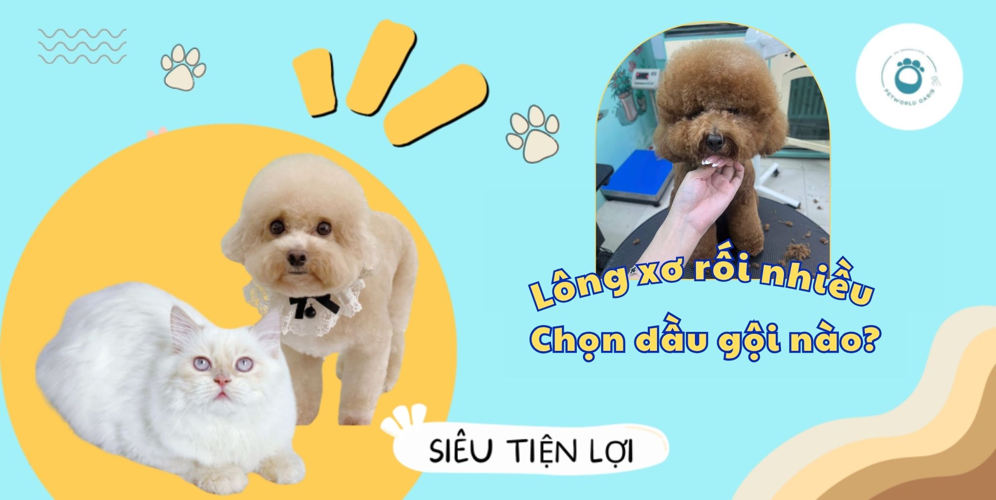 Lông thú cưng khô xơ