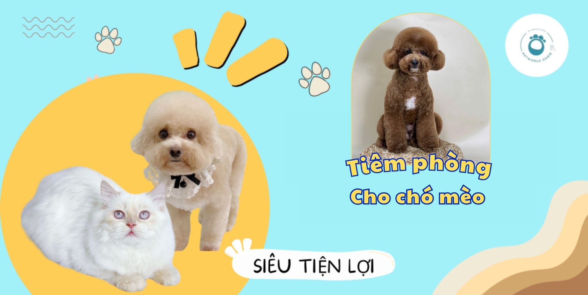 Tiêm phòng cho chó mèo