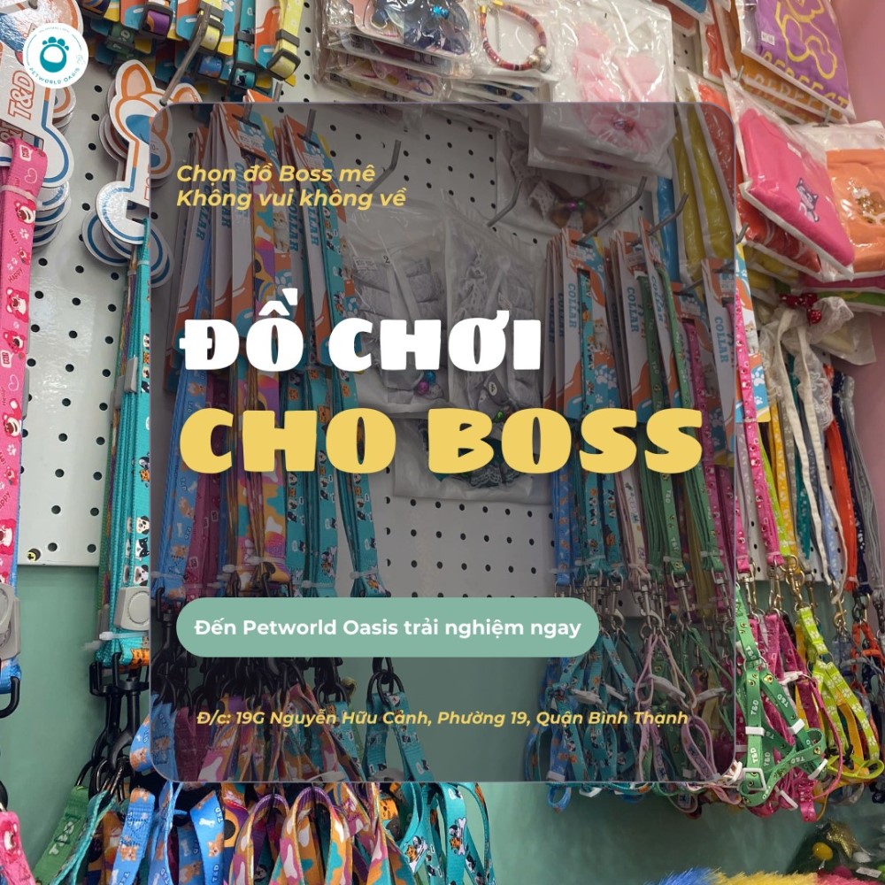 Đồ dùng nuôi thú cưng tại PETWORLD OASIS