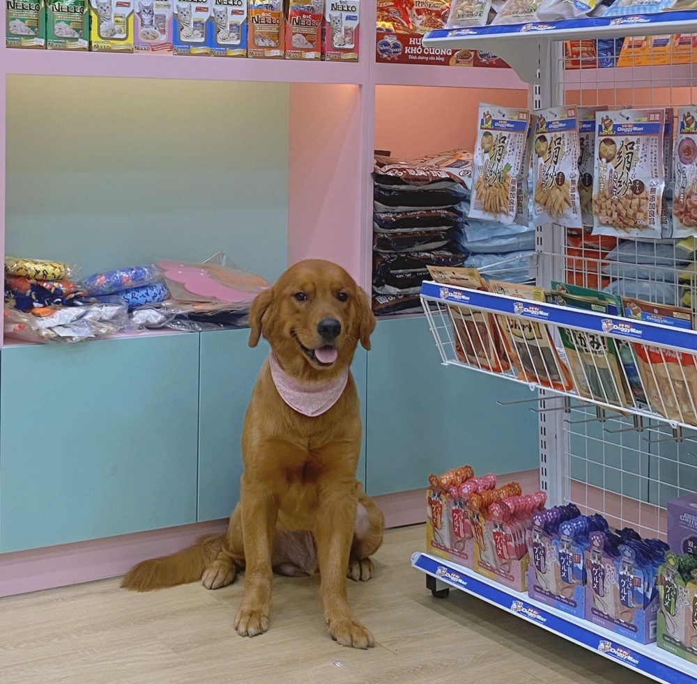 Đồ ăn vặt thú cưng an toàn