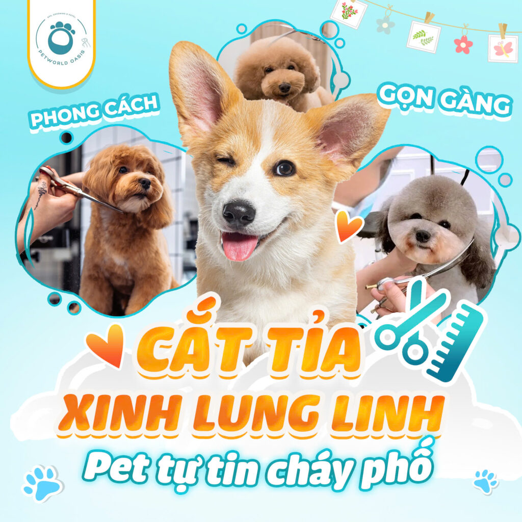 Spa thú cưng tại TP.HCM