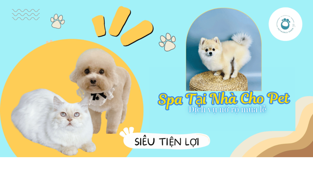 Xu hướng spa cho thú cưng