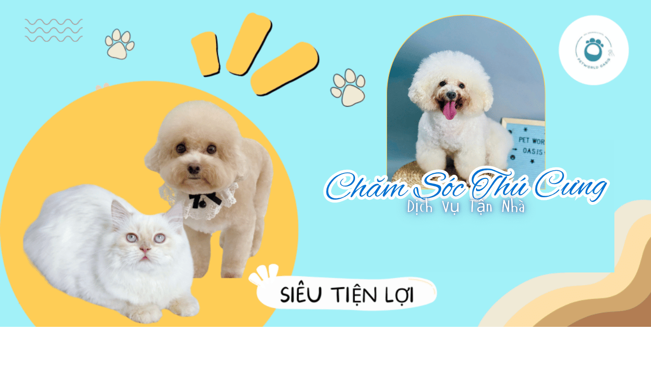 Chăm Sóc Thú Cưng Tại Nhà