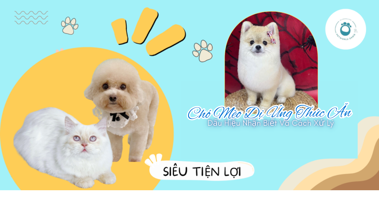 Dị ứng thức ăn ở chó mèo