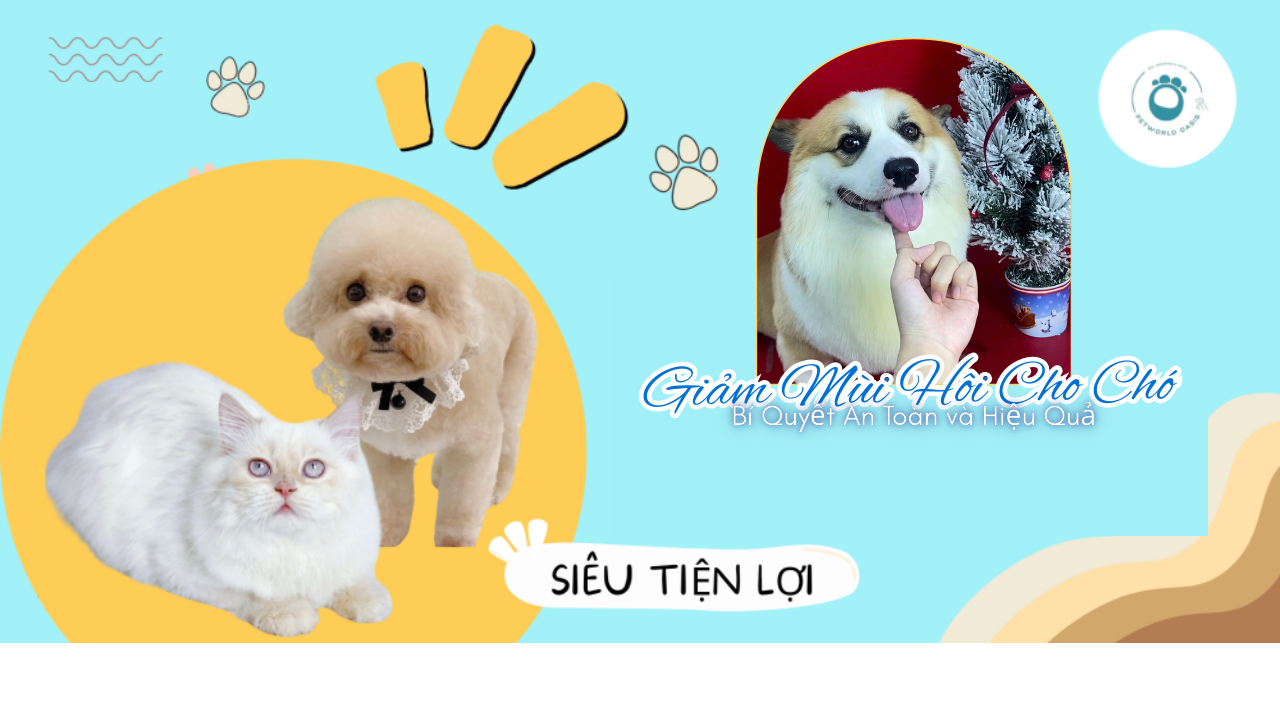 Giảm Mùi Hôi Cho Chó