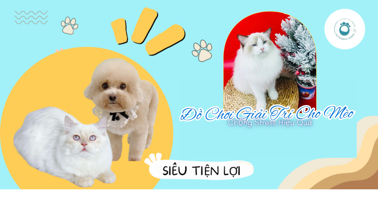Đồ Chơi Giải Trí Cho Mèo