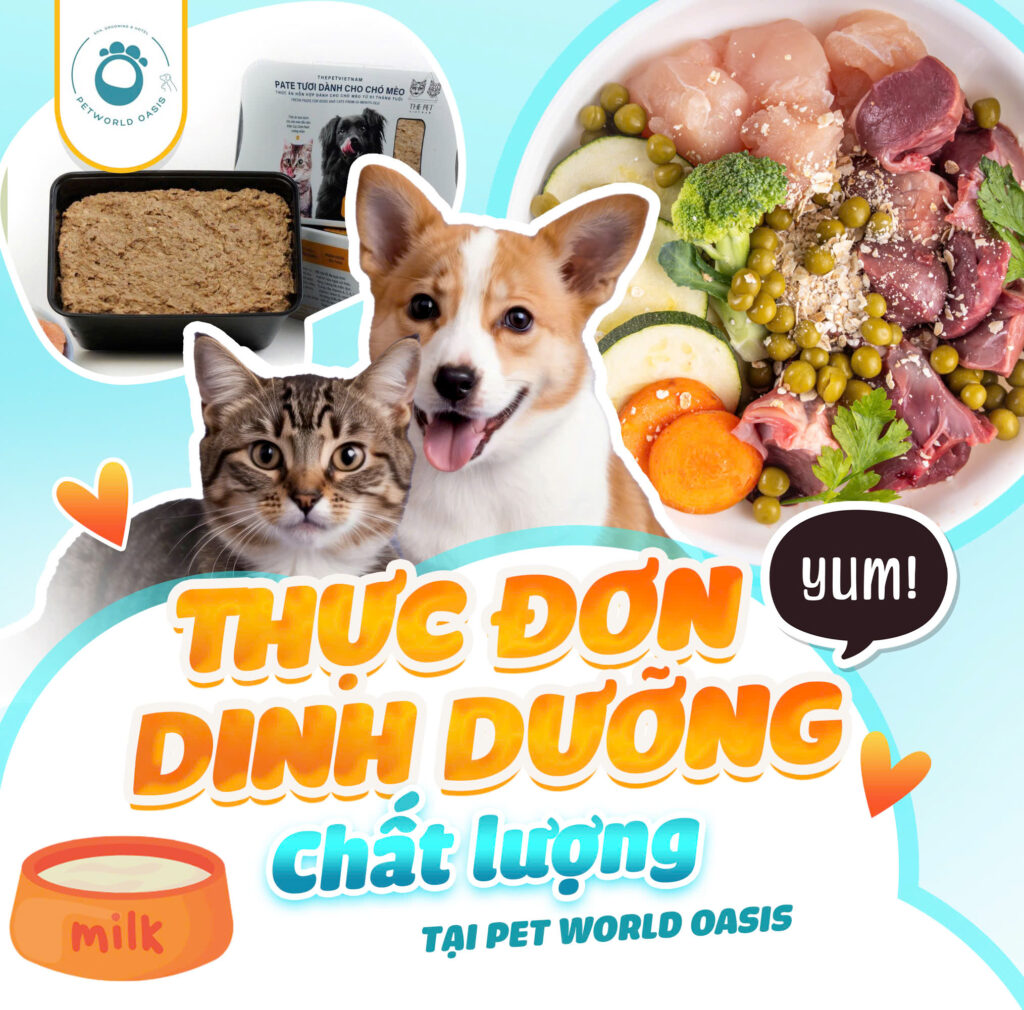 Chăm sóc thú cưng tại Petworld OASIS