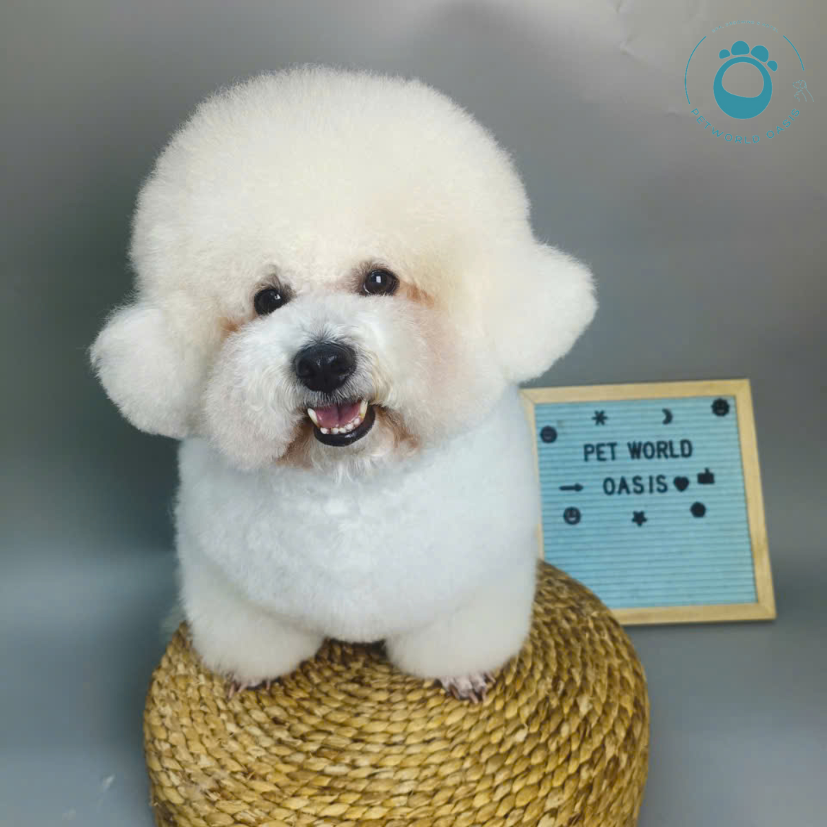 Spa thú cưng Petworld OASIS