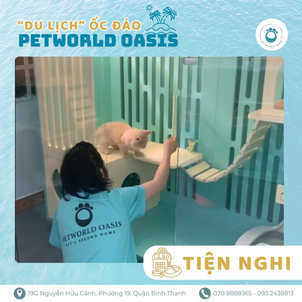 Chăm sóc thú cưng khi ở khách sạn