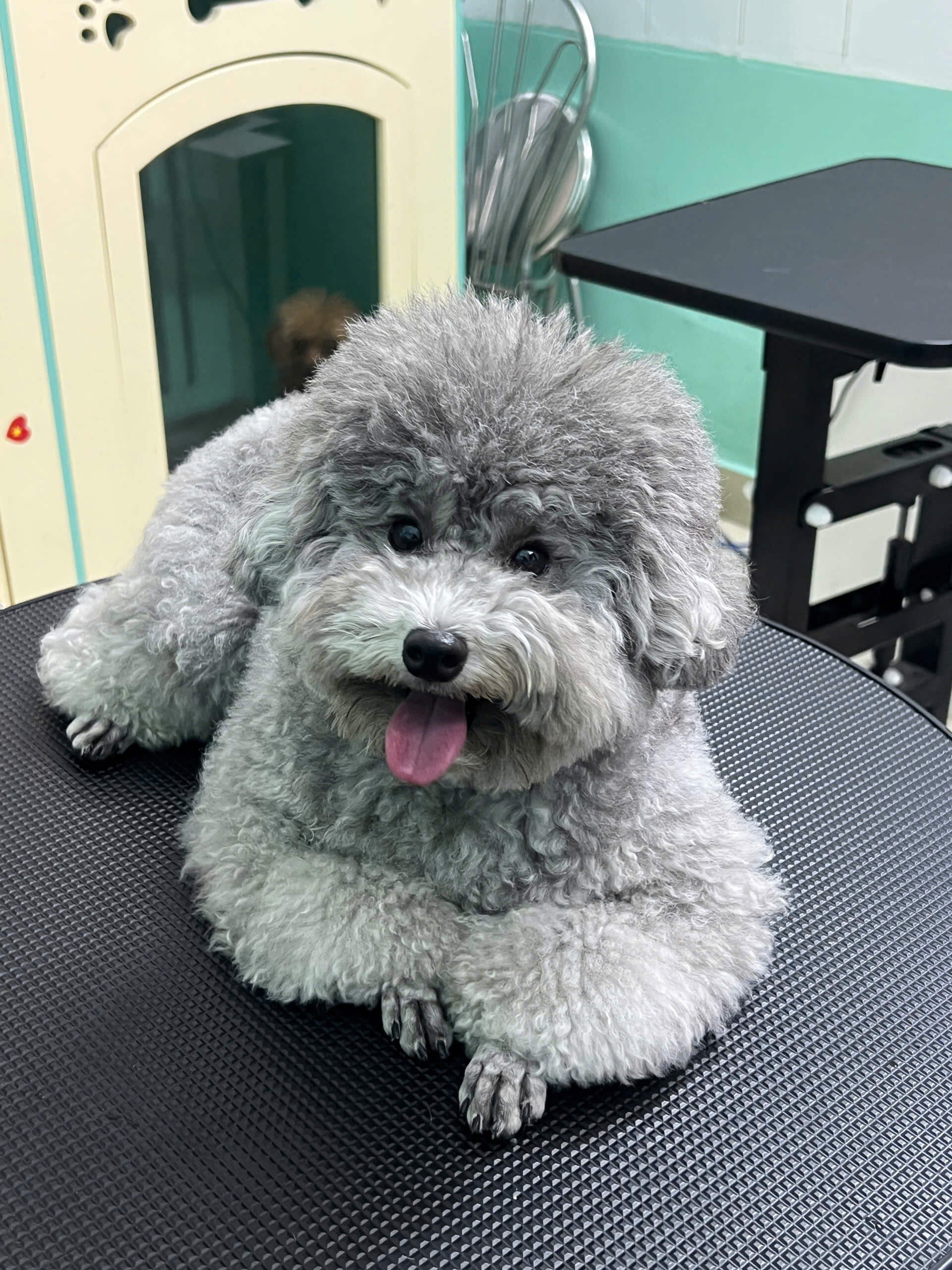 Petworld OASIS Bình Thạnh