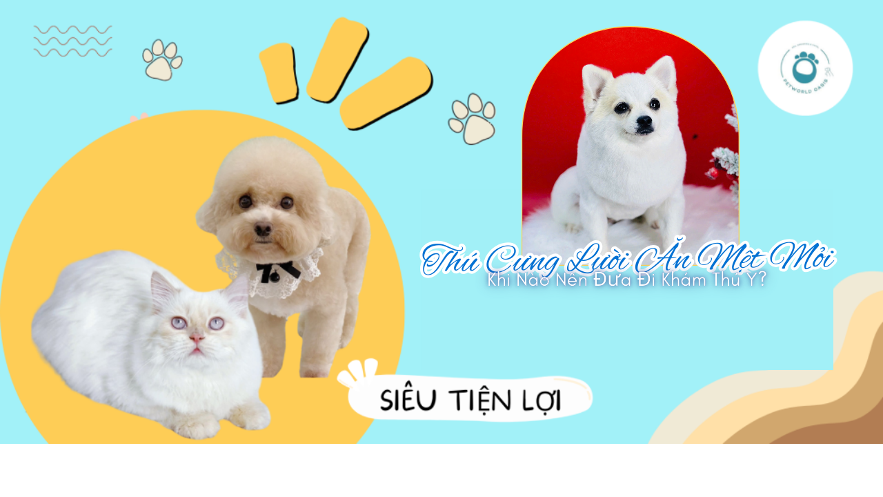 Thú Cưng Lười Ăn Mệt Mỏi