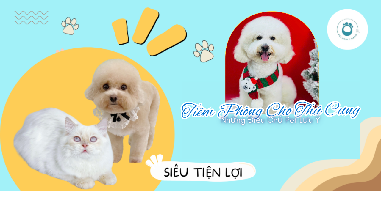 Tiêm Phòng Cho Thú Cưng