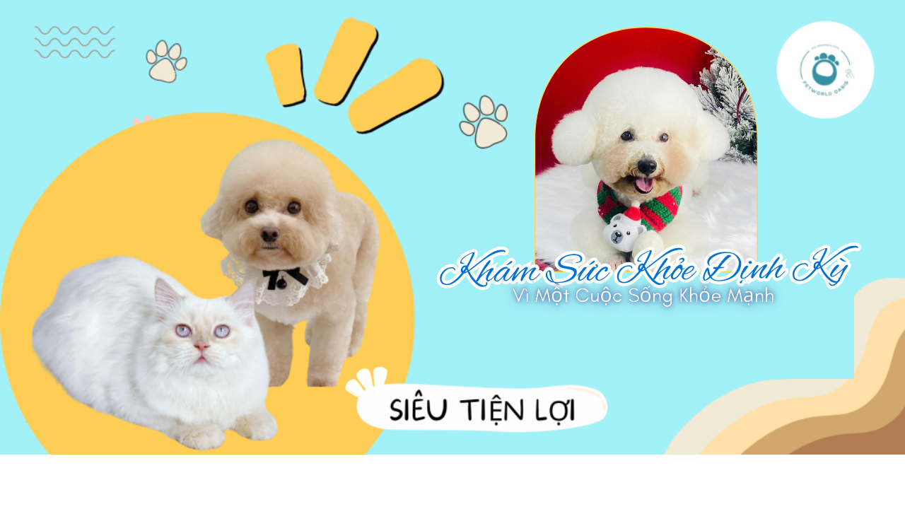 Khám Sức Khỏe Định Kỳ