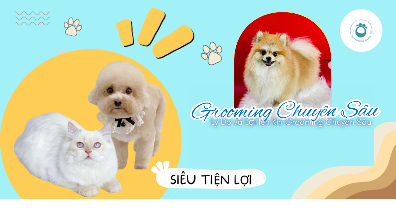 Thú Cưng Cần Grooming Chuyên Sâu