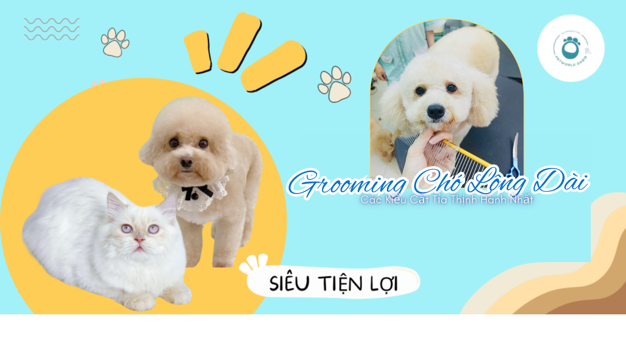 Grooming Chó Lông Dài