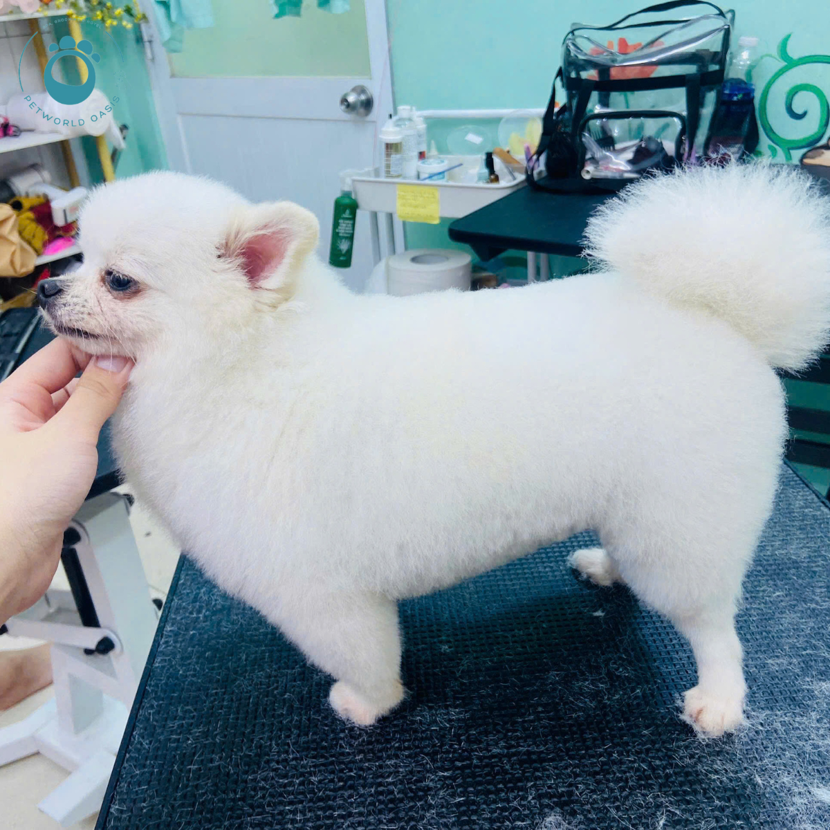 Thành Phần Hạt Cho Thú Cưng