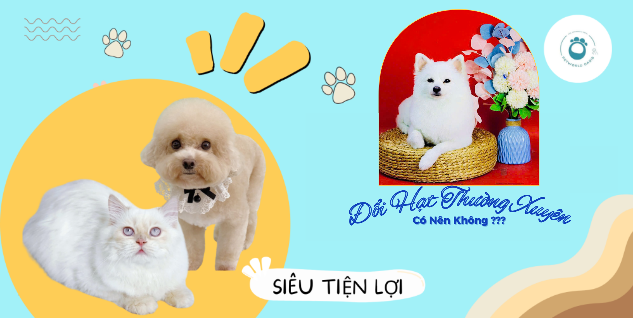 Đổi Hạt Thường Xuyên Cho Thú Cưng