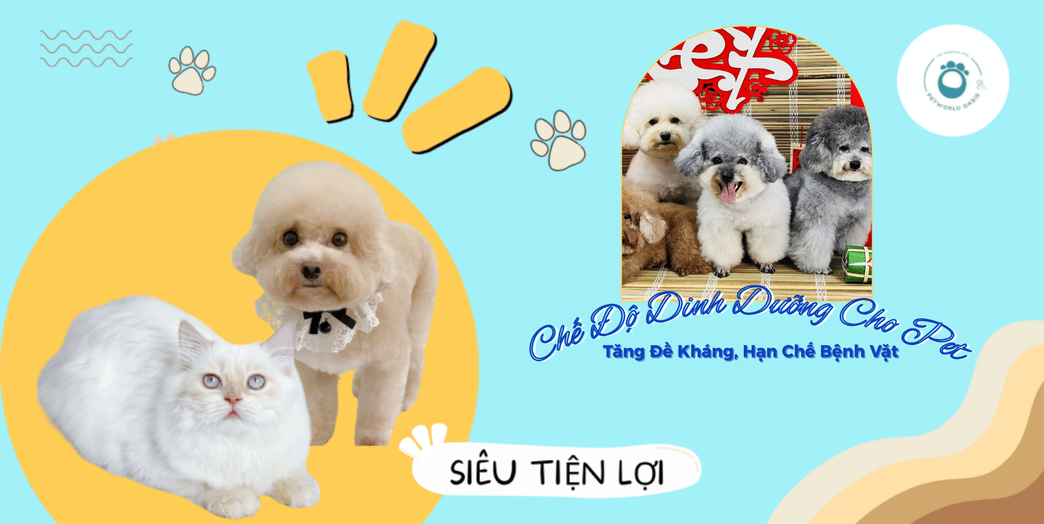 Chế độ dinh dưỡng cho Pet
