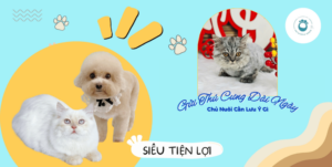 Gửi Thú Cưng Dài Ngày