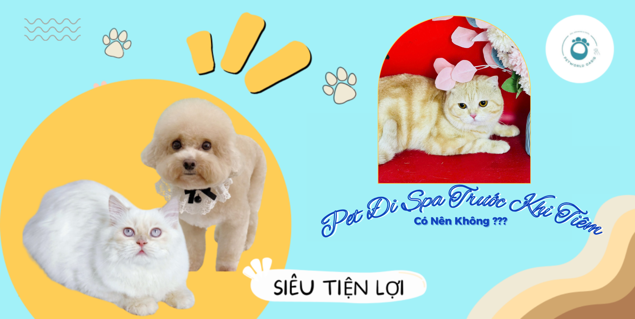 Pet Đi Spa Trước Khi Tiêm