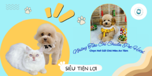 Những Tiêu Chí Chuẩn Pet Hotel